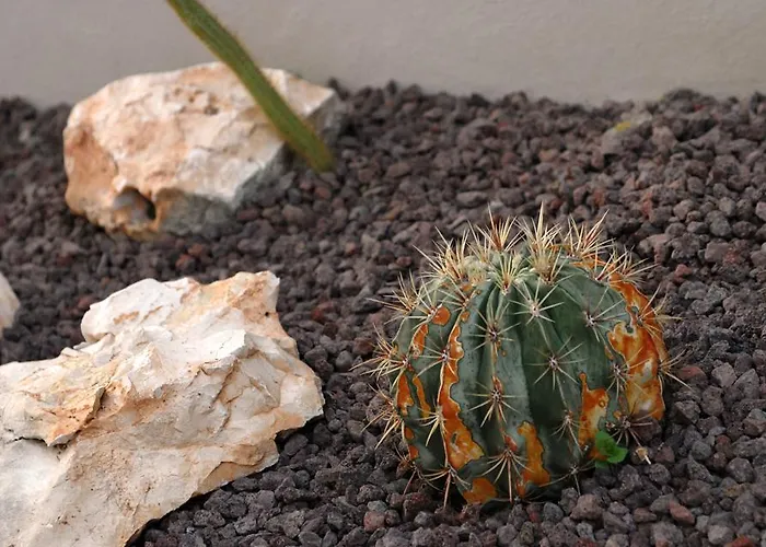 Nocleg ze śniadaniem Euclide 3*